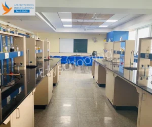 Apeejay School International Gallery