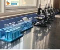 Apeejay School International Gallery