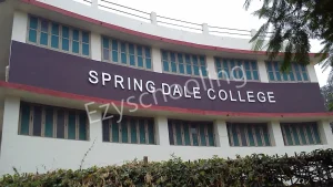 Spring Dale College Gallery