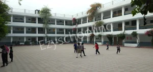 Spring Dale College Gallery