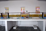 Shivani Public School Gallery