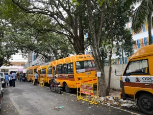 Orchids The International School Gallery