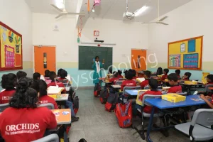 Orchids The International School Gallery