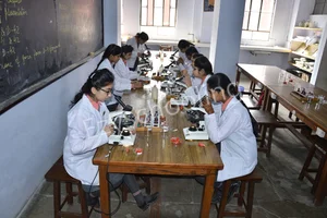 Emma Thompson School Gallery