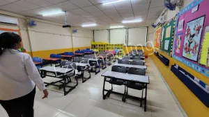 Orchids The International School Gallery