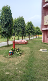 Chiranjiv Bharati School Gallery