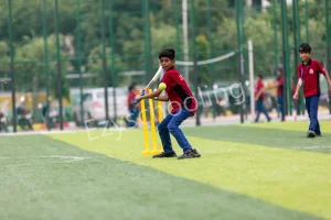 Orchids The International School Gallery