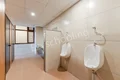 The TonsBridge School Gallery