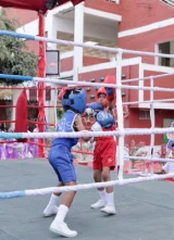 The Lucknow Public Collegiate Gallery