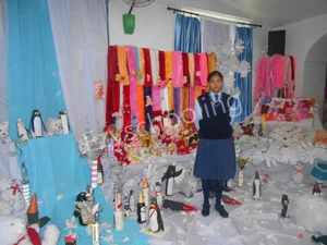 Navayuga Radiance Senior Secondary School Gallery