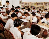 Mary Gardiner's Convent School Mary Gardiner's Convent School Gallery