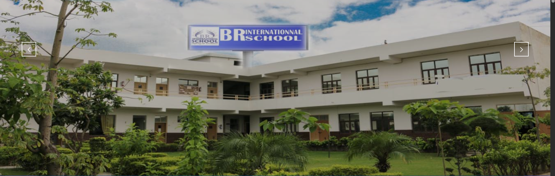 BR International School BR International School Gallery