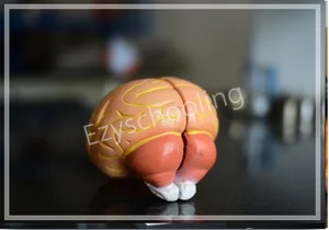 BRS Global School Gallery