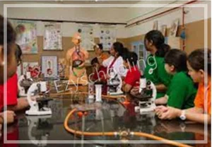 BRS Global School Gallery