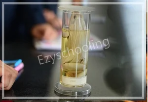 BRS Global School Gallery