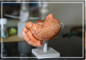 BRS Global School Gallery