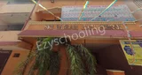 Sri Sairam High School Sri Sairam High School Gallery