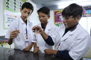 Solitaire Global School Gallery