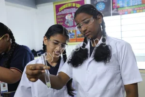 Solitaire Global School Gallery