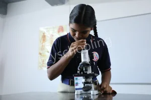 Solitaire Global School Gallery