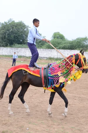 PRJ Gyanjaya School Gallery