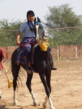 PRJ Gyanjaya School Gallery