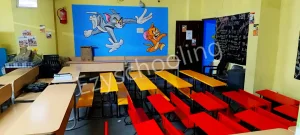 Millennium Star High School Gallery