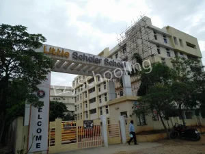 Little Scholar School Gallery