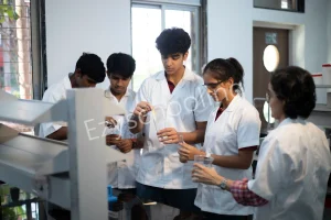 Corvuss American Academy Gallery