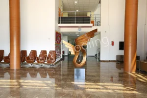 Phoenix World School Gallery