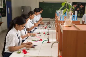 CHIREC International School Gallery