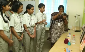 Blossoms International School Of Excellence Gallery