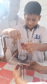 Neo Slate High School Gallery