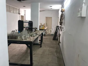 The Nobel School Gallery