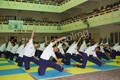 The International School Gallery