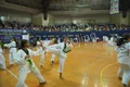 The International School Gallery