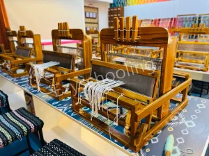 Orchids The International School Gallery