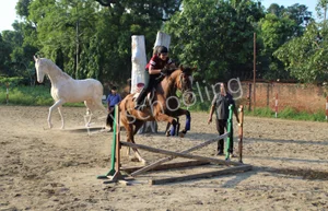 Modern School Gallery