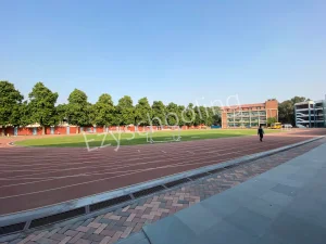 Raghubir Singh Junior Modern School Gallery