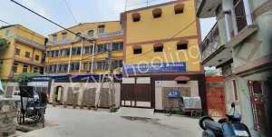 Canterbury Public School Gallery