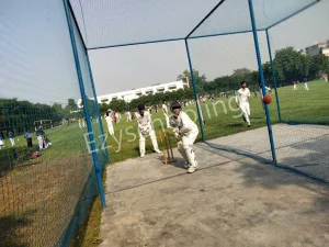 The SD Vidya School Gallery