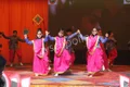Nav Bharti Public School, Deepali Gallery