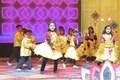 Nav Bharti Public School, Deepali Gallery