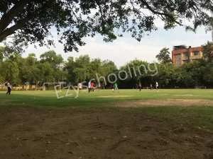 Bosco Public School Gallery