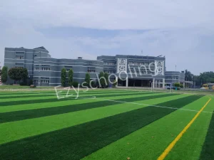 Mahavir Senior Model School Gallery