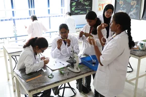 Capstone High Gallery