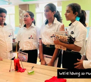 PP International School Gallery