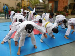 DAV Public School Gallery