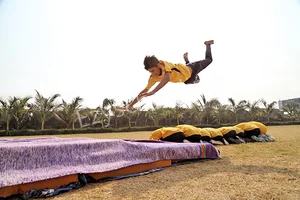 Crystal Schools Gallery