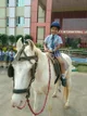 Doon International School, Bhubaneswar (BBSR), Odisha Boarding School BuildingImage 2